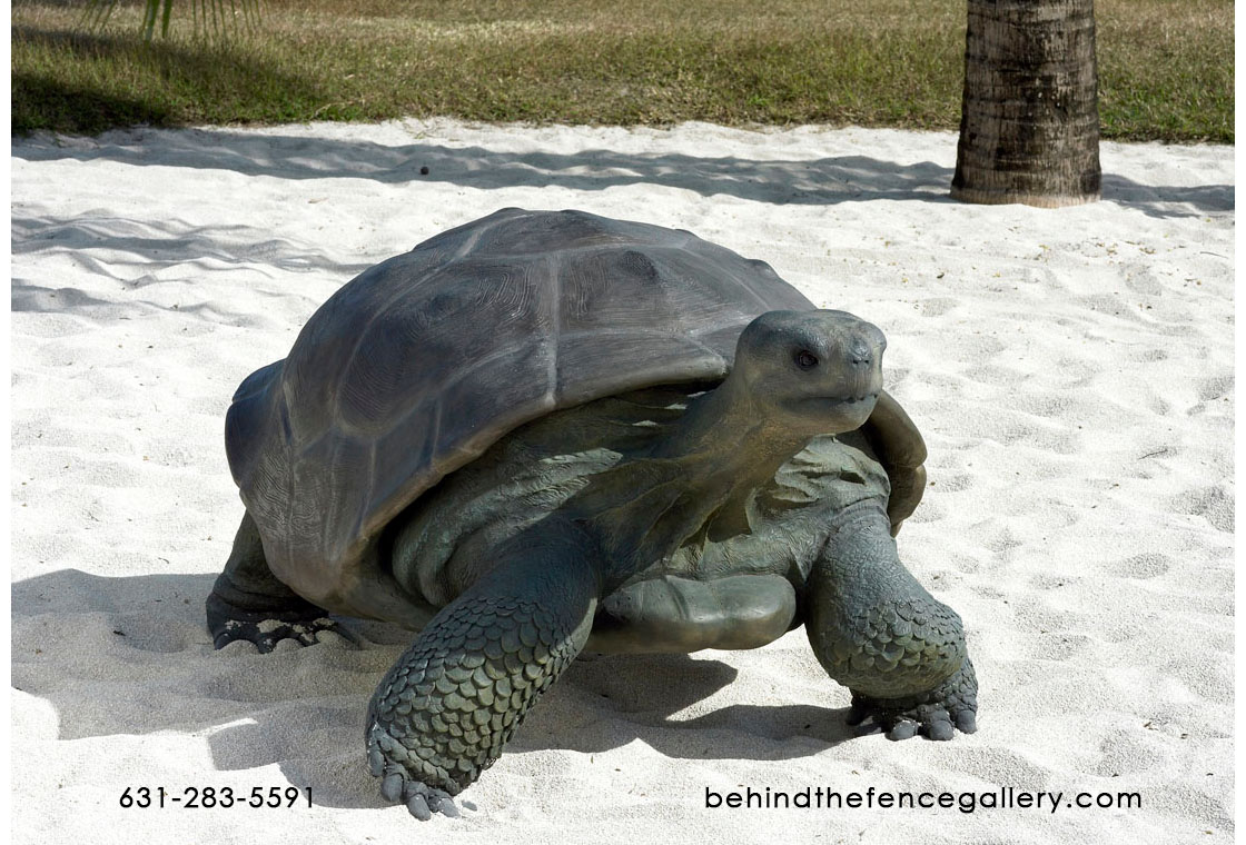 Galapagos Tortoise Statue