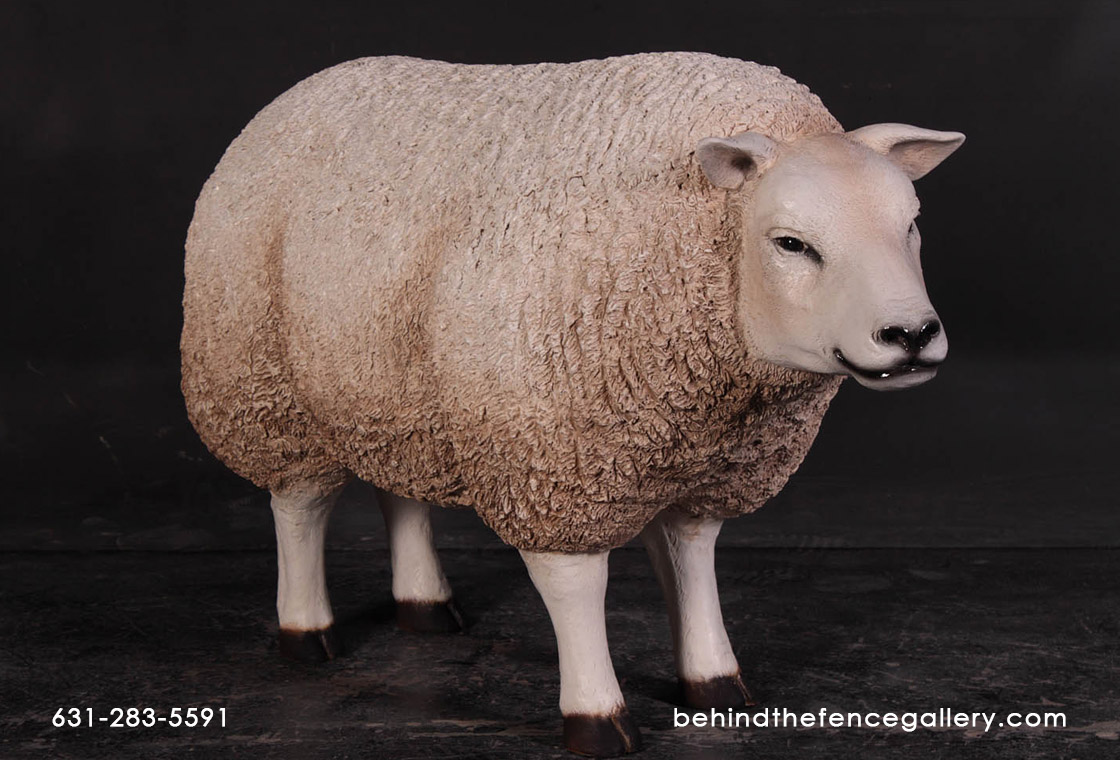 Texelaar Ewe Sheep Statue with Head Up
