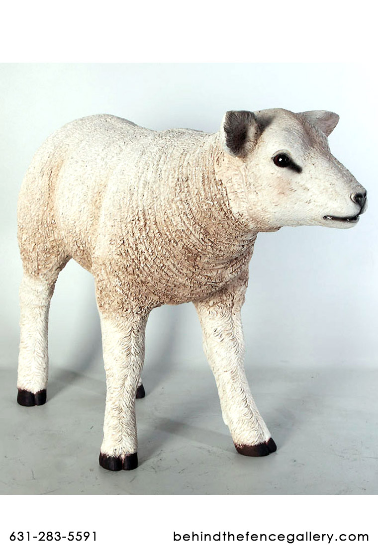 Lamb Statue White Texelaar Sheep